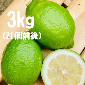 グリーンレモン 3キロ