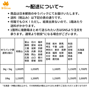 極早生みかん 12キロ