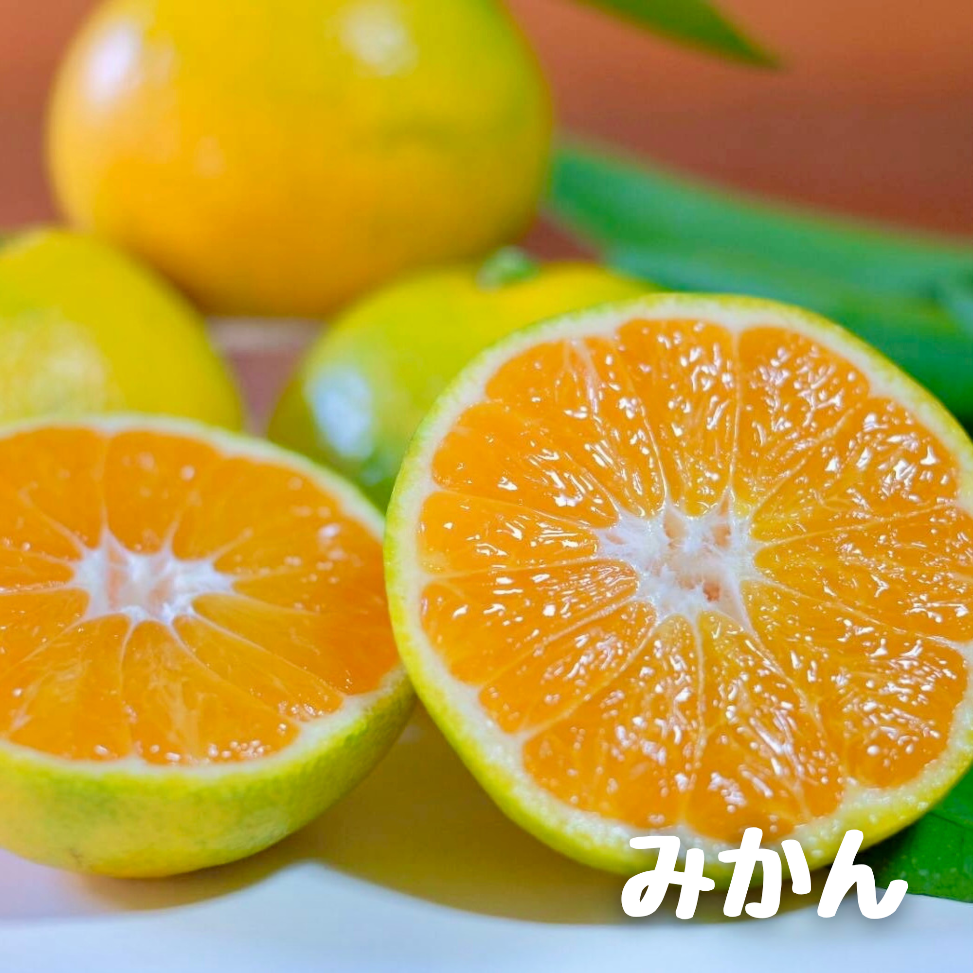 全ての商品 - みかんのみっちゃん農園