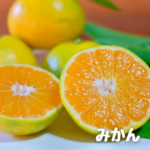 みかんとレモンの詰め合わせ（みかん多め）