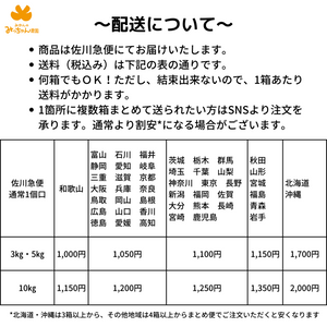 みかんとレモンの詰め合わせ（レモン多め）