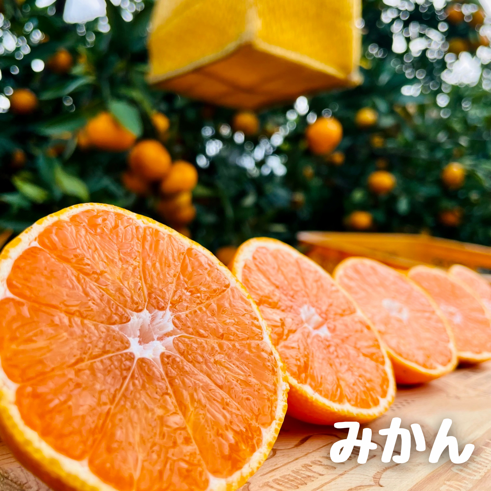 みかんとレモンの詰め合わせ（みかん多め）