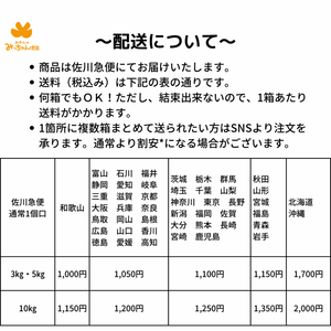 バレンシアオレンジ 3キロ