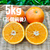 セミノールオレンジ 5キロ