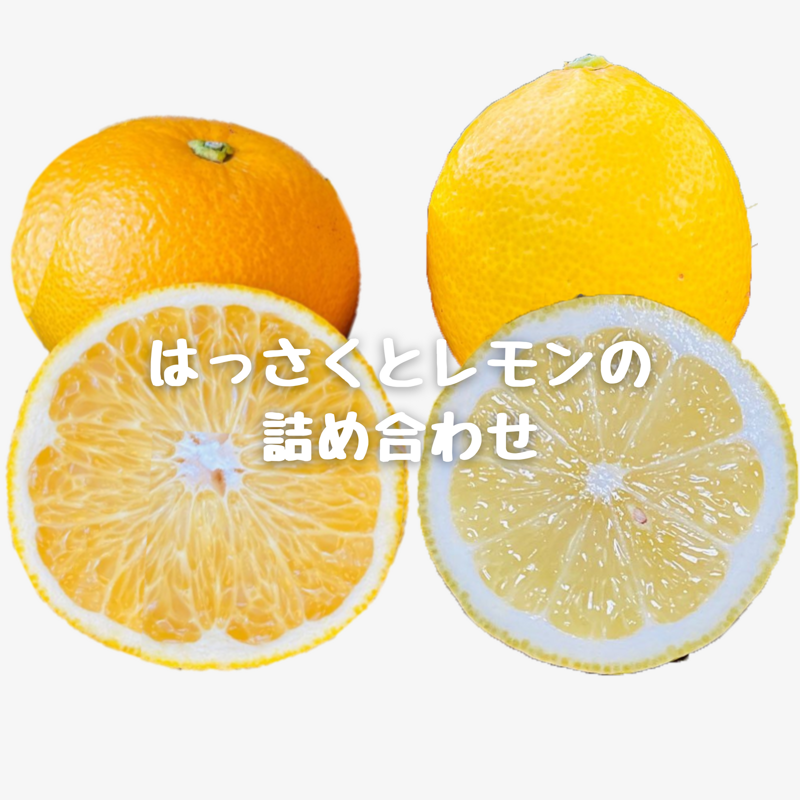 はっさくとレモンの詰め合わせ（レモン多め）