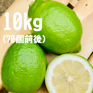 グリーンレモン 10キロ