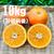 セミノールオレンジ 10キロ
