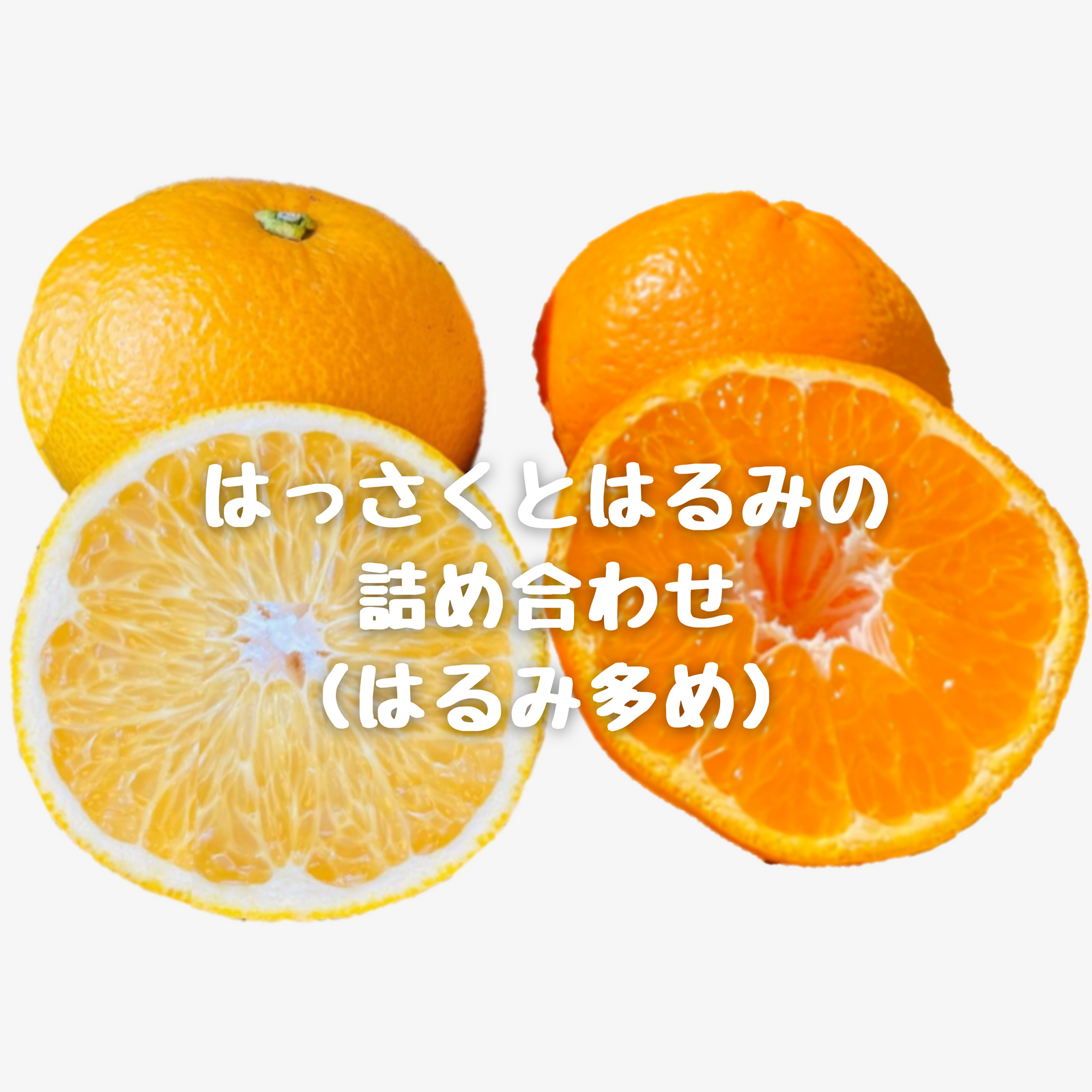 はっさくとはるみの詰め合わせ（はっさく多め）