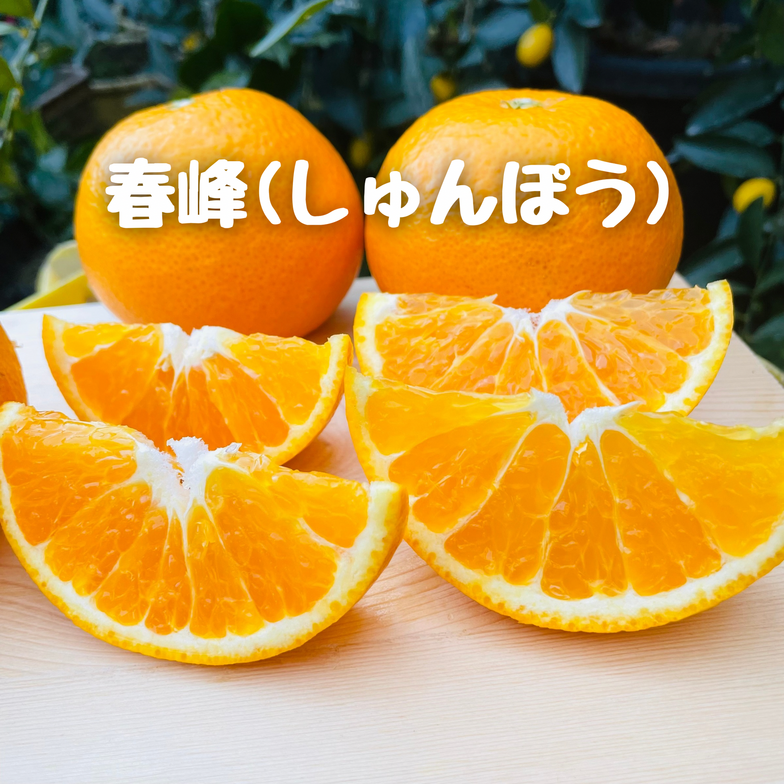 春峰とブラッドオレンジの詰め合わせ（春峰多め）