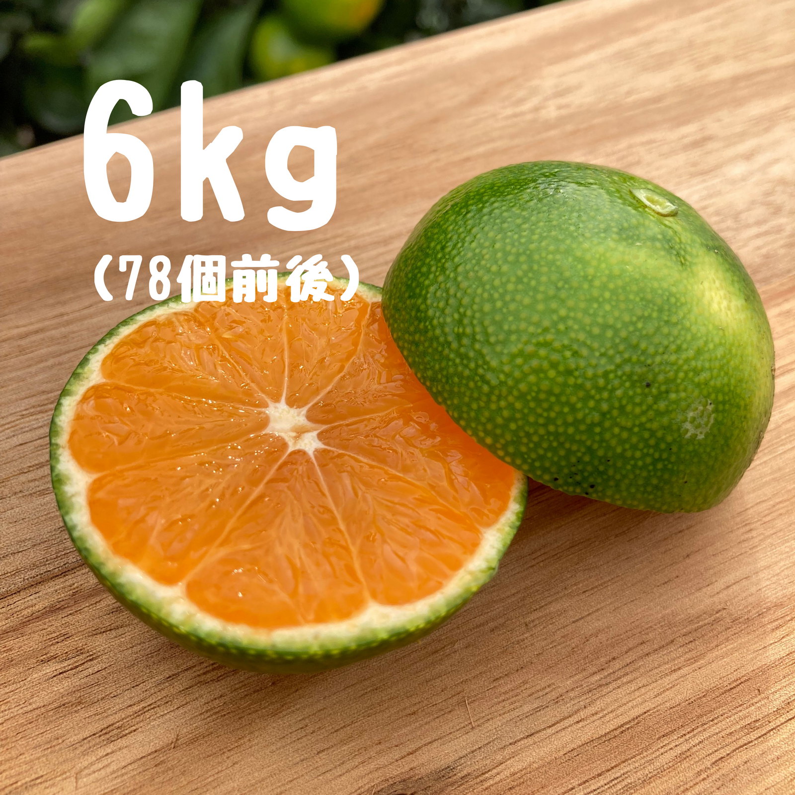 みかん 全ての商品 - みかんのみっちゃん農園