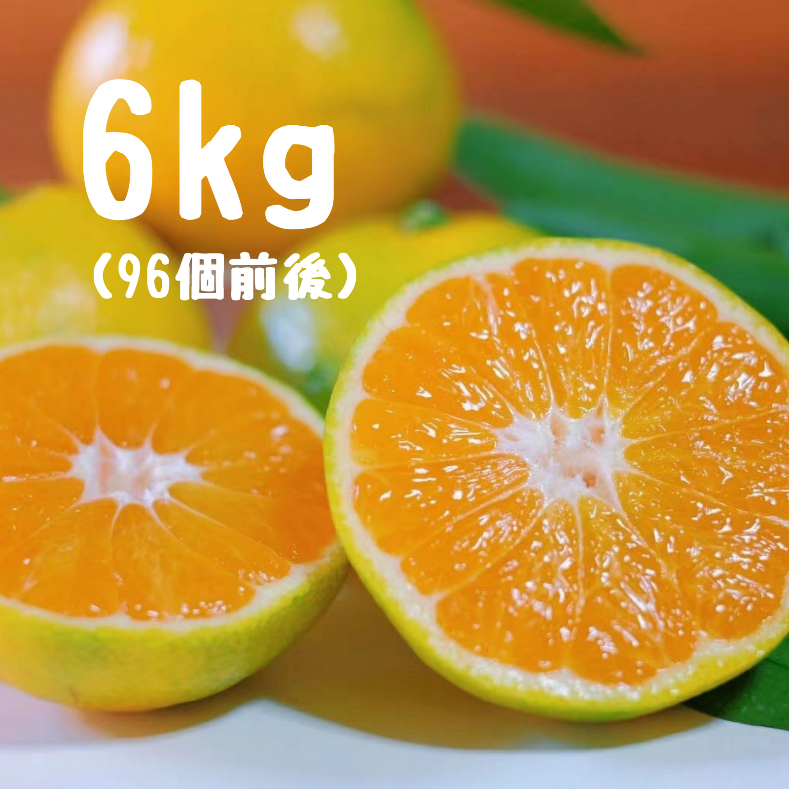 みかんとレモン レモン 140玉サイズ袋 5入袋: 農産品 KANTO EXPRESS