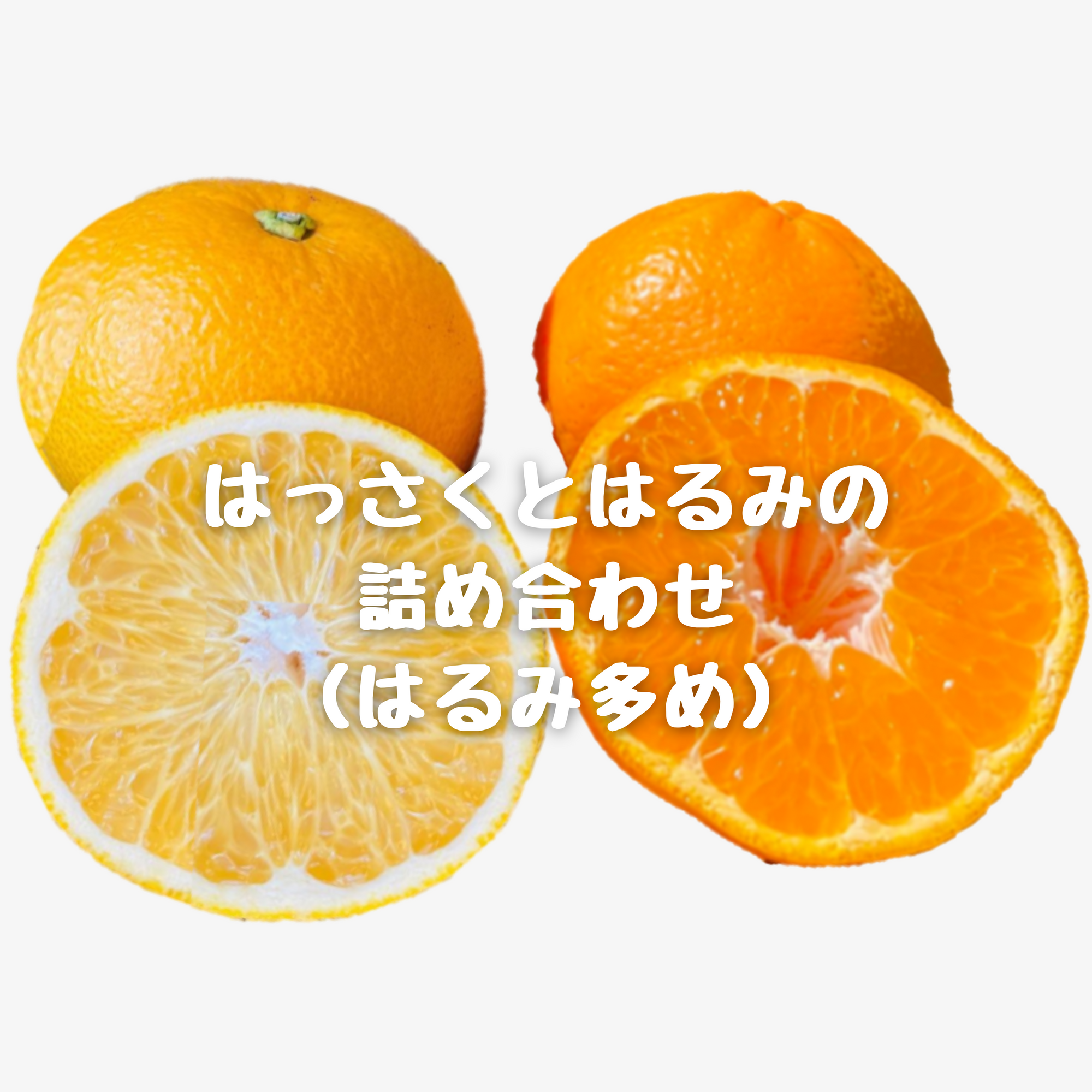 全ての商品 - みかんのみっちゃん農園