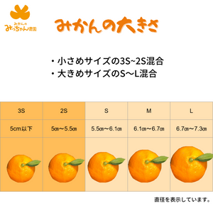 極早生みかん 10キロ