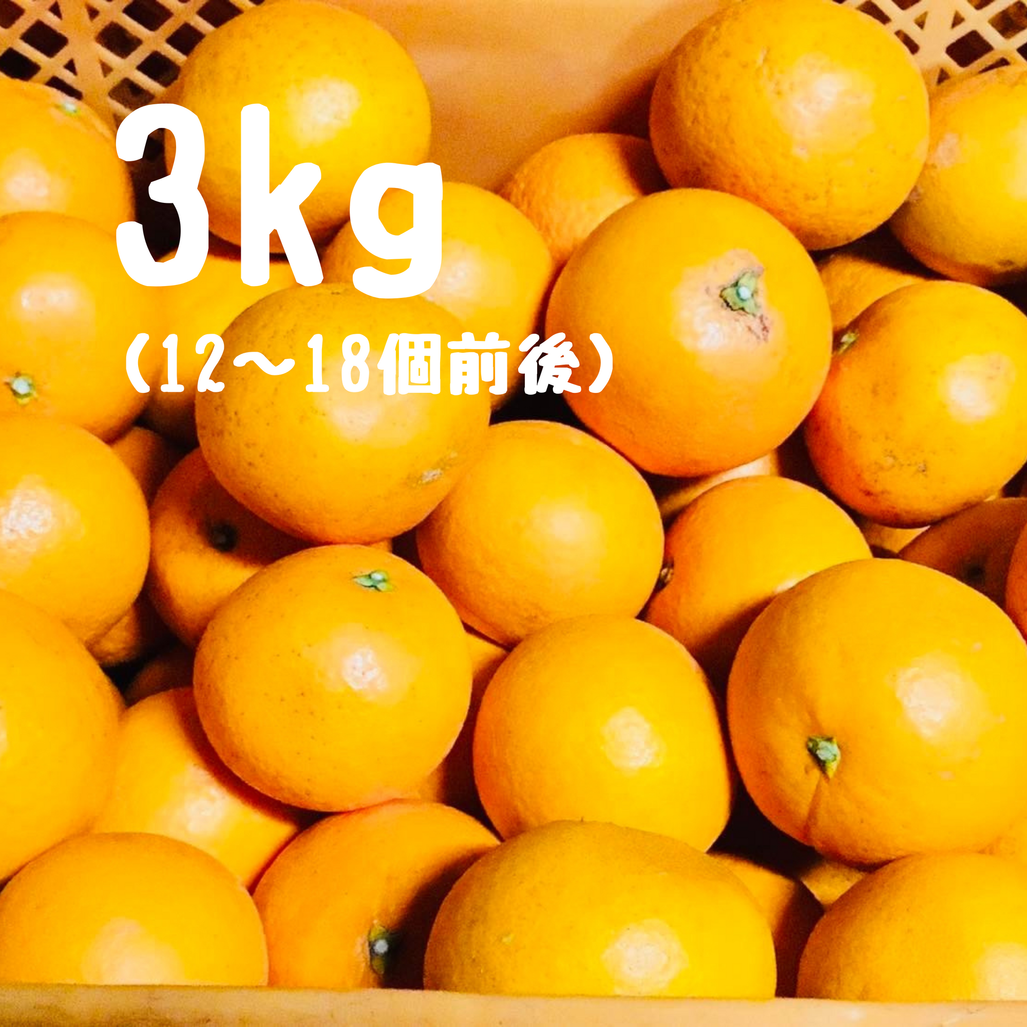 清見オレンジ 3キロ