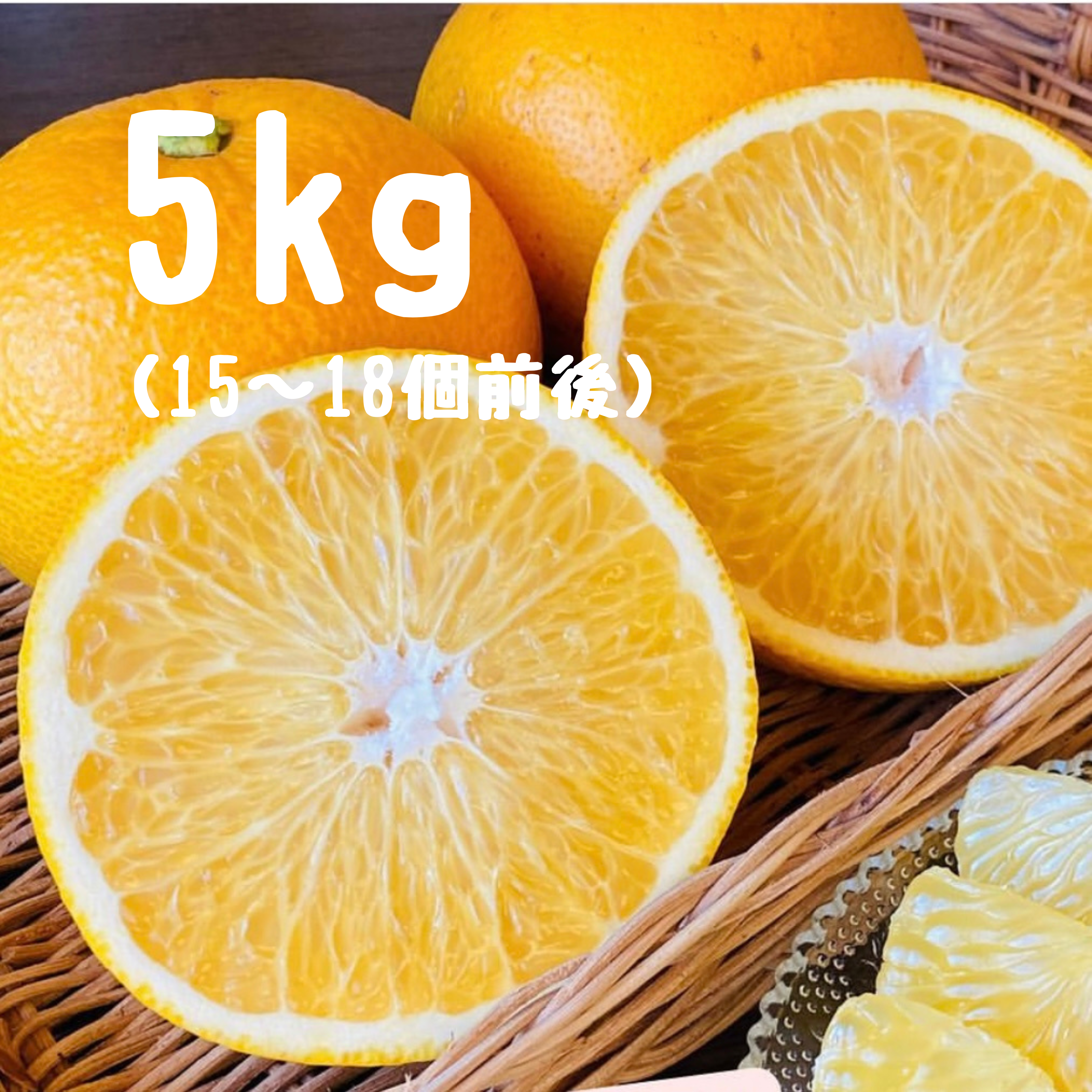 はっさく 5キロ - みかんのみっちゃん農園