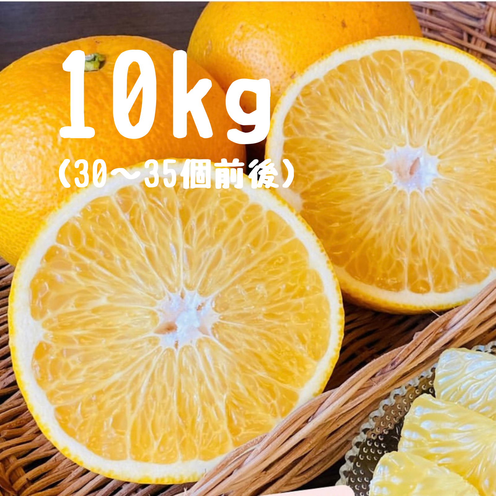 はっさく 10キロ