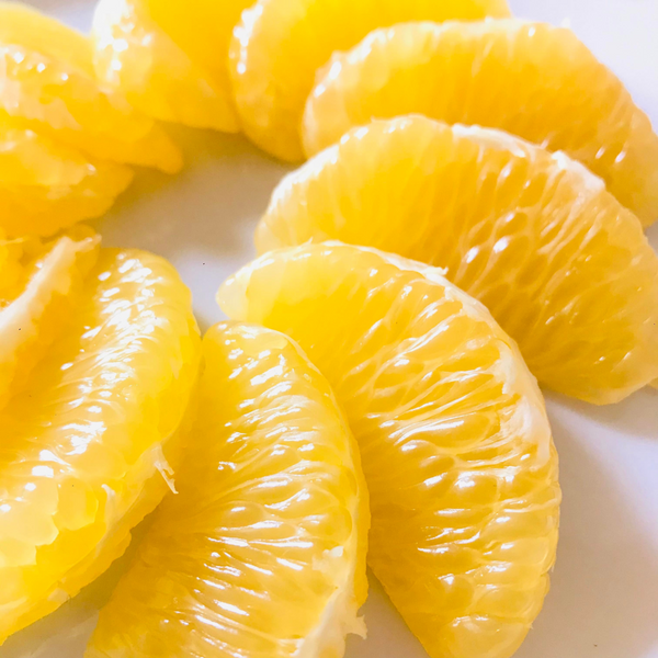 はっさく 5キロ - みかんのみっちゃん農園