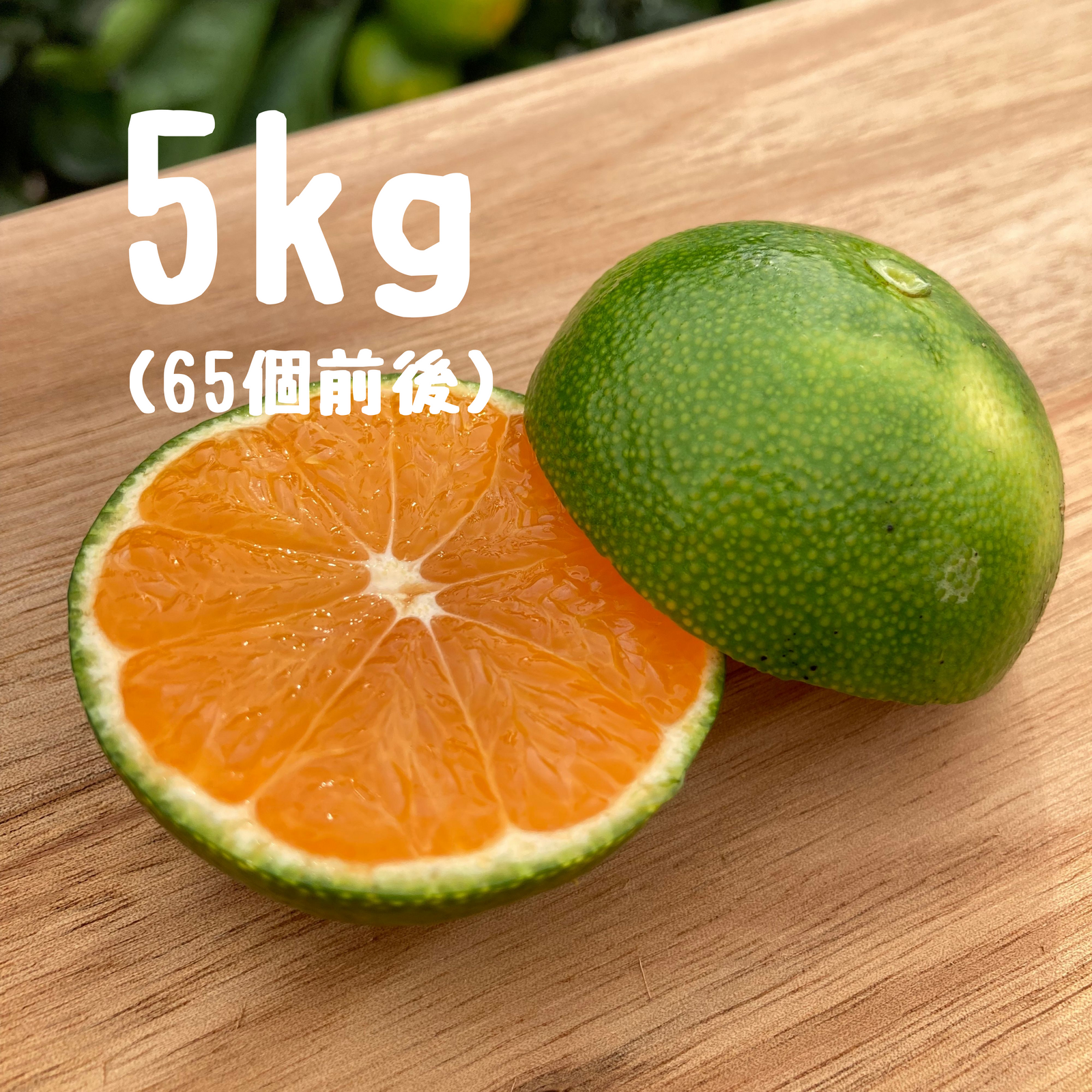 不意打ちみかん（YN26-和歌山限定品種）5キロ