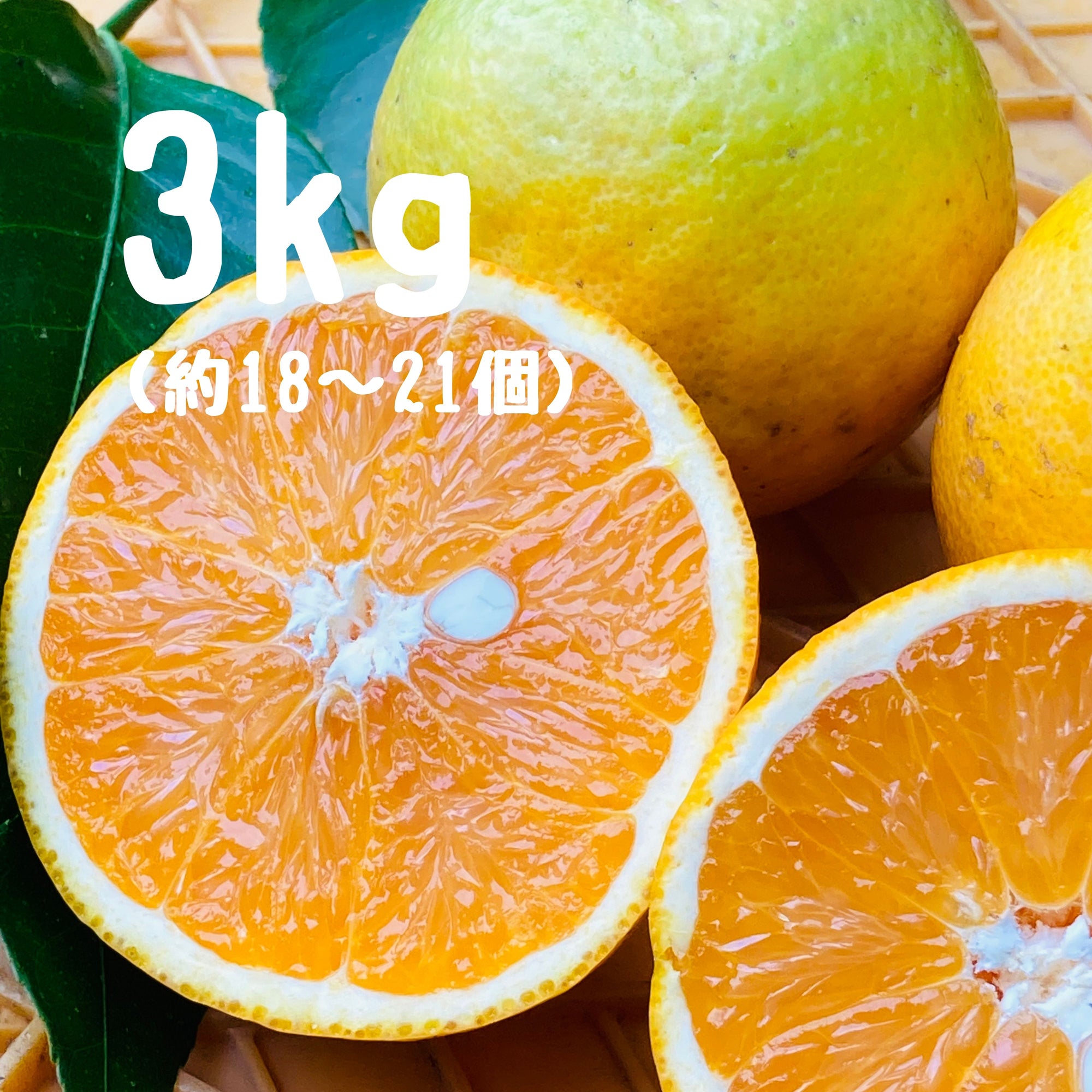 バレンシアオレンジ 3キロ