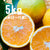バレンシアオレンジ 5キロ