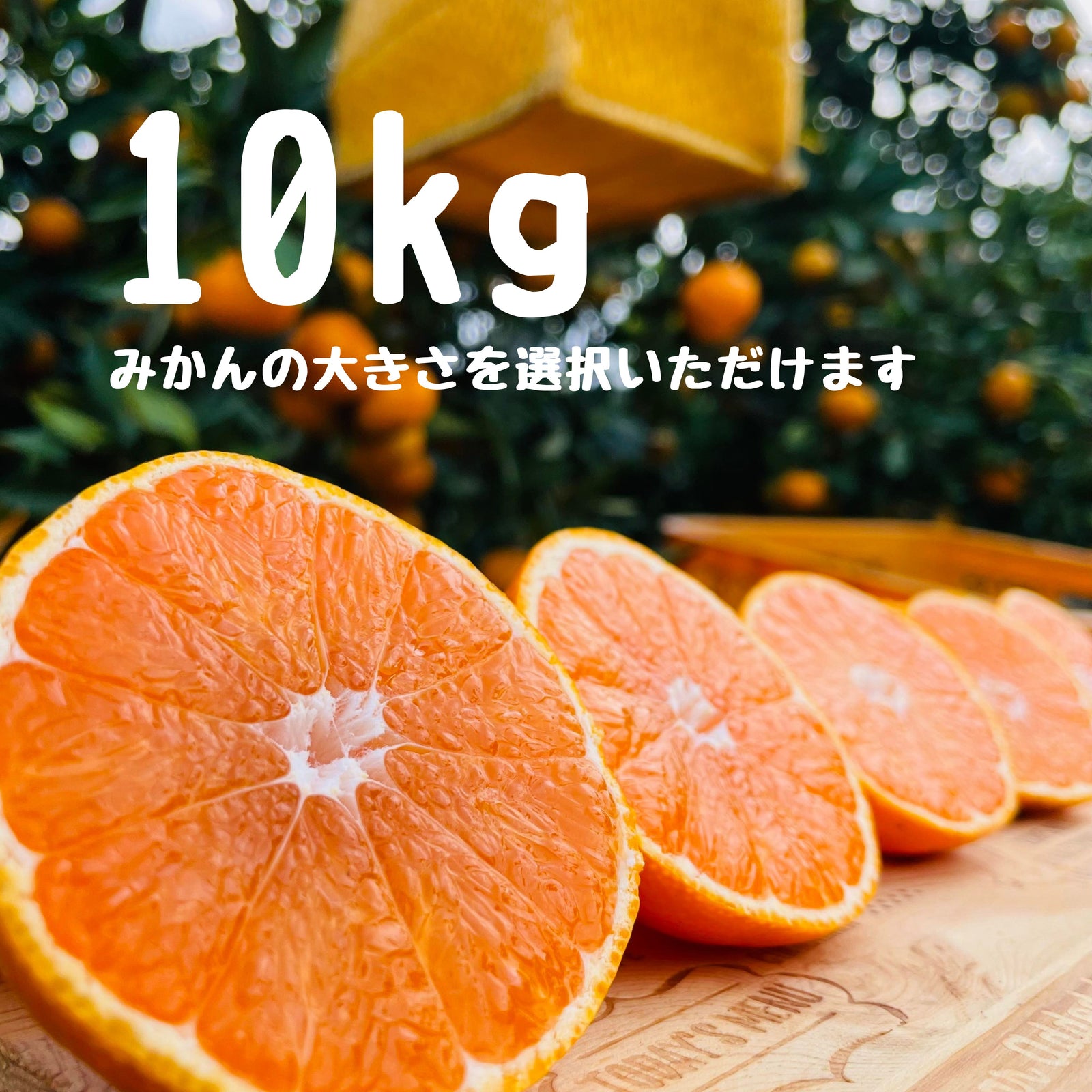 早生みかん 10キロ