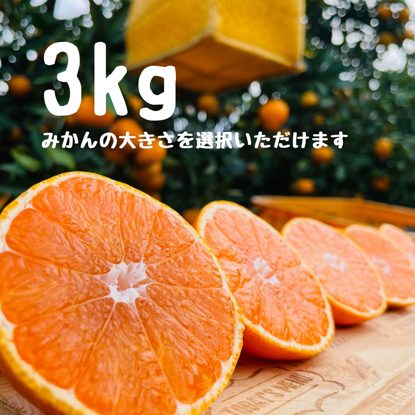 早生みかん 3キロ