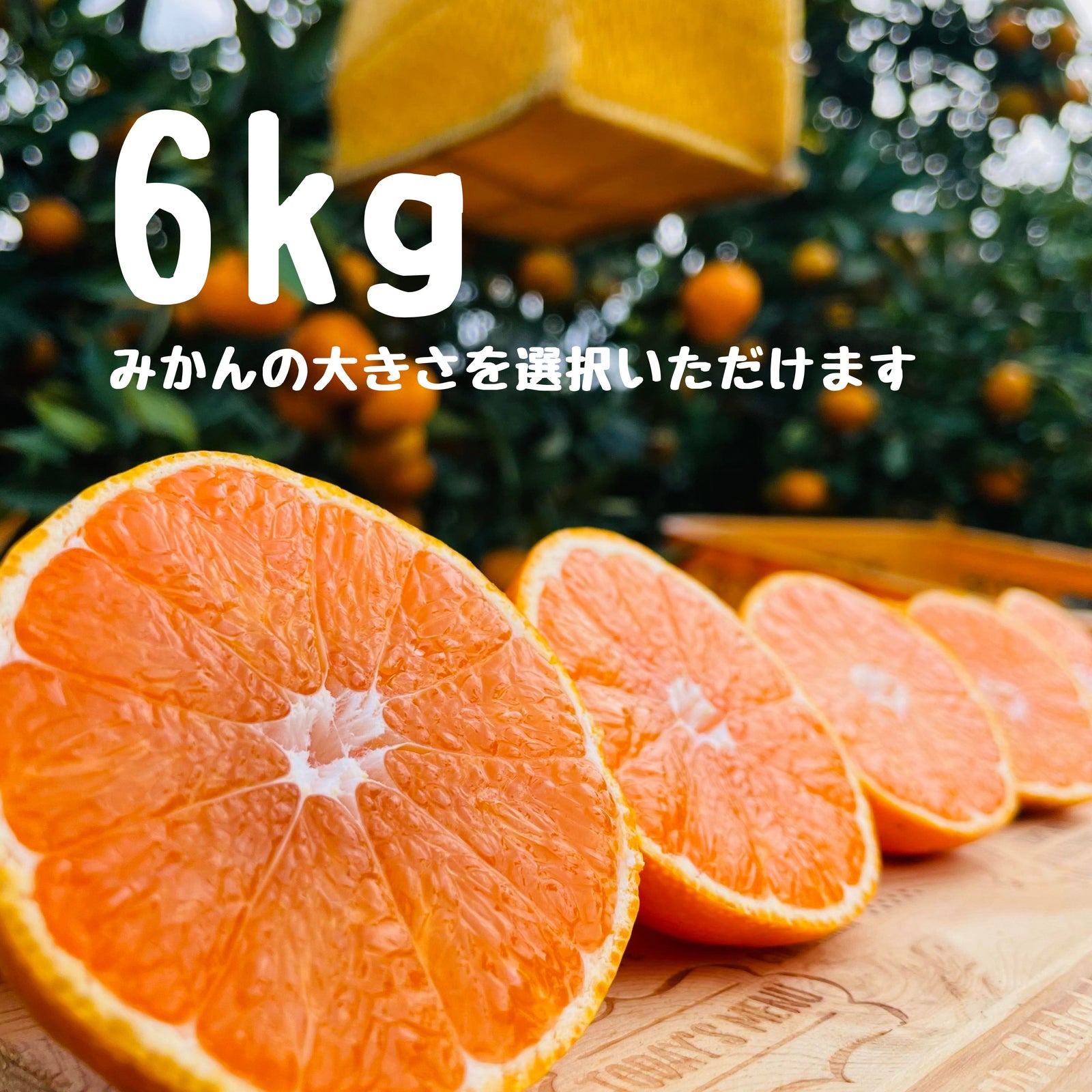 早生みかん 6キロ