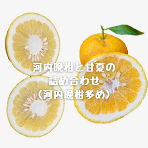 河内晩柑と甘夏の詰め合わせ(河内晩柑多め)