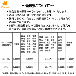 河内晩柑と甘夏の詰め合わせ(甘夏多め)