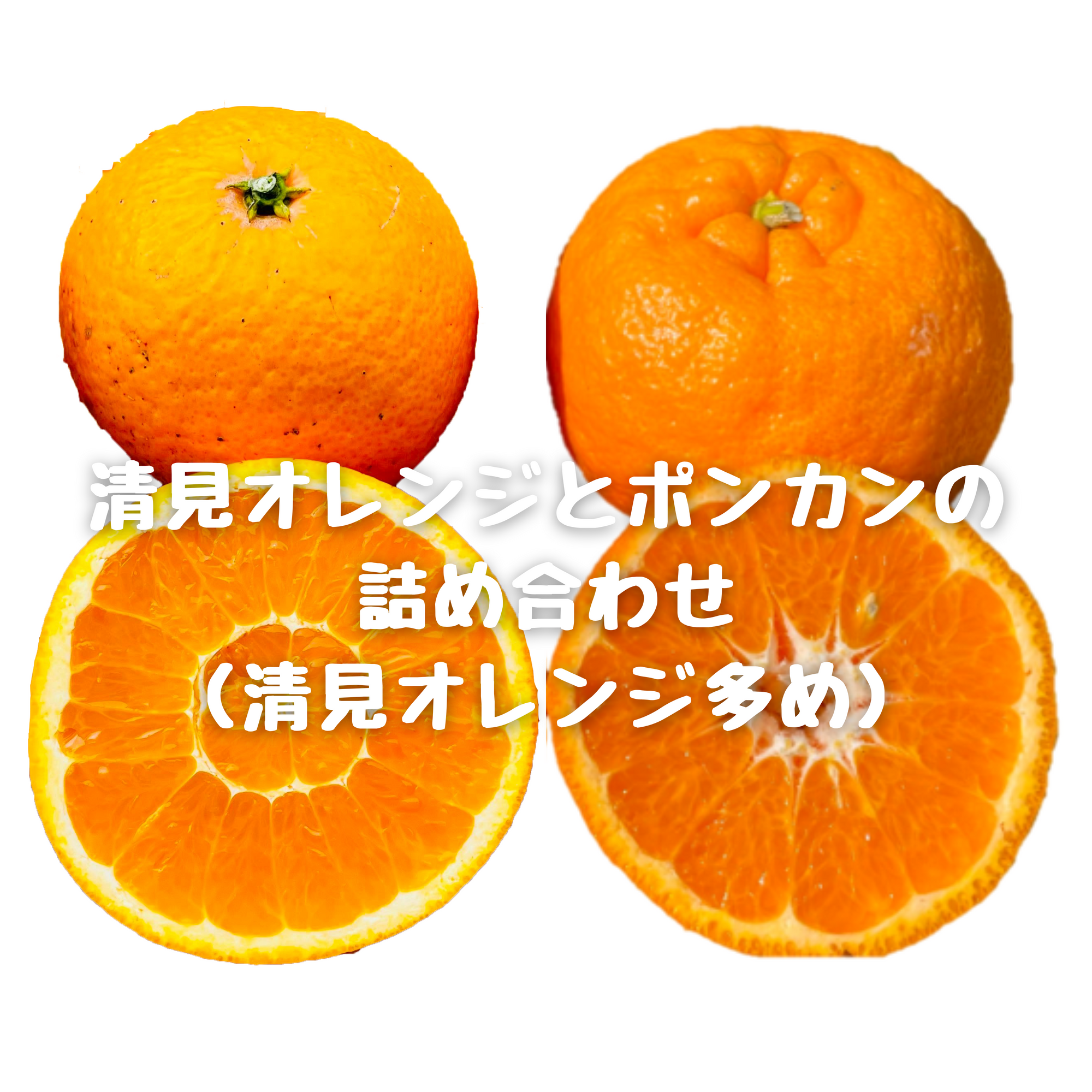 清見オレンジとポンカン(甘ポン)の詰め合わせ(清見オレンジ多め)
